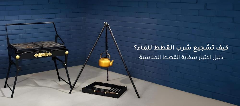 شرب القطط للماء