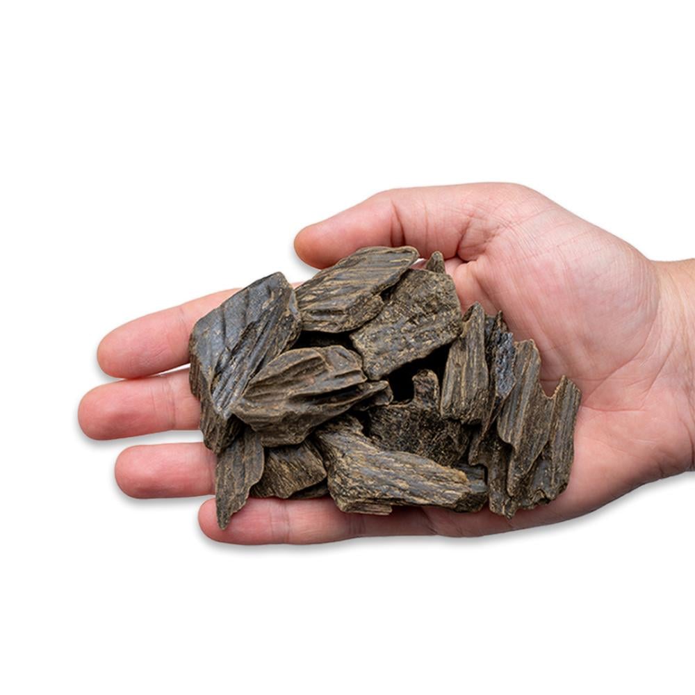 كلمنتان ضيافة الشخصيات المهمة