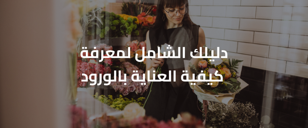 دليلك الشامل لمعرفة كيفية العناية بالورود