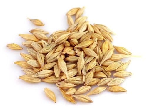 شعير بلدي اليمني