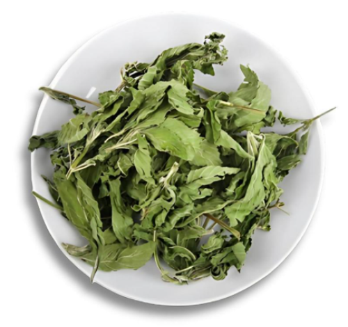 حبق مجفف حايل