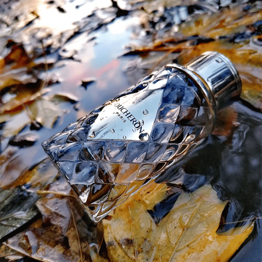 عطر بلاس فندوم من بوشرون للنساء - او دي بارفيوم 100 مل - واحة الجمال