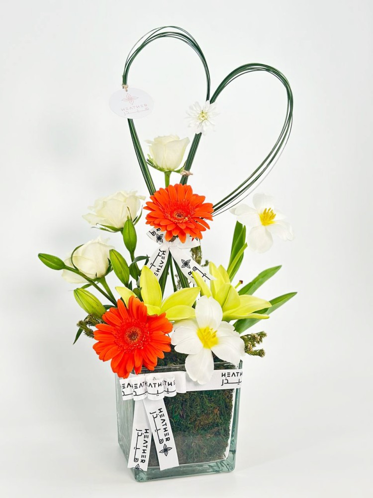 فازة سيرافينا توليب