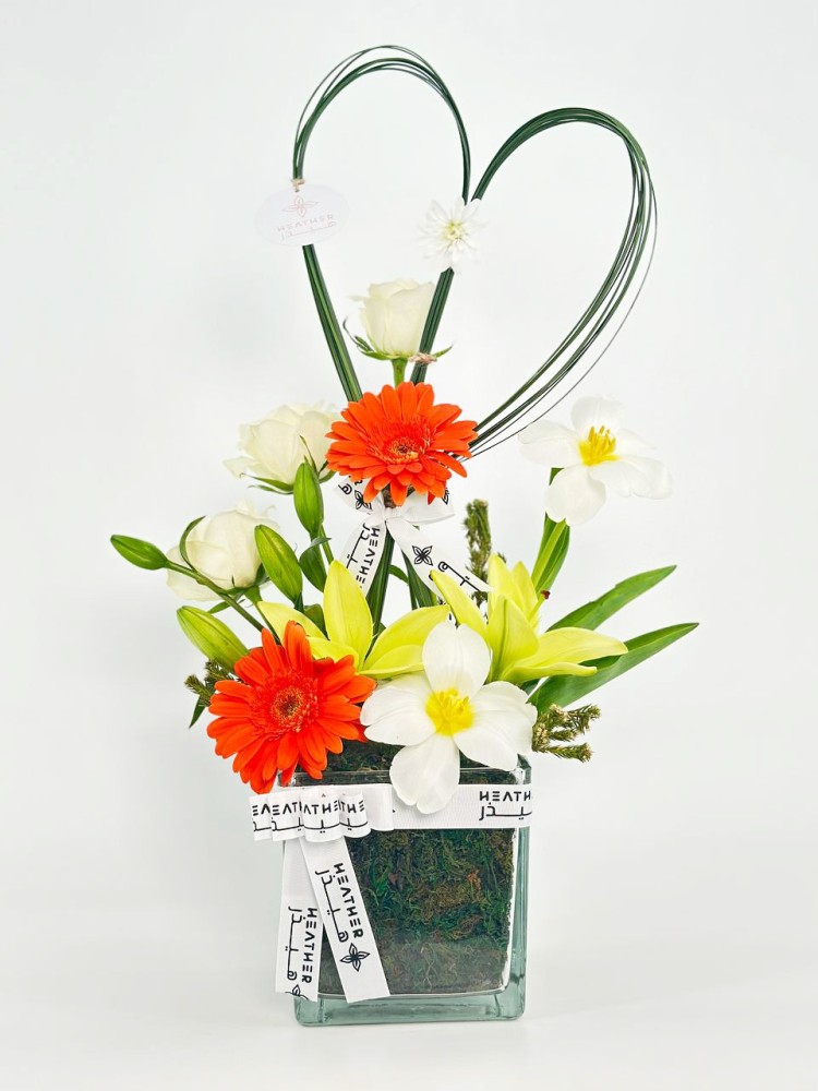 فازة سيرافينا توليب