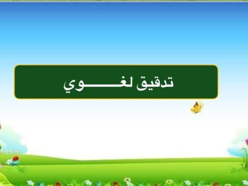 تدقيق لغوي على الطلب