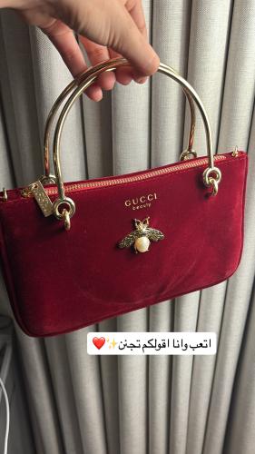 Gucci bag  مسبق