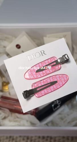 Hair clips dior
