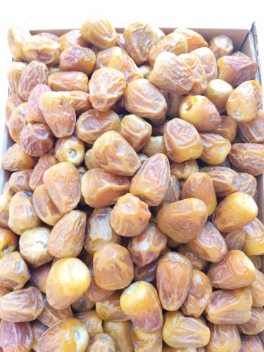 سكري ملكي 4.5 أنتاج 1447