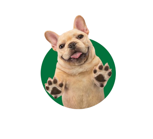 الكلاب