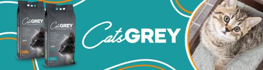 Cats Grey