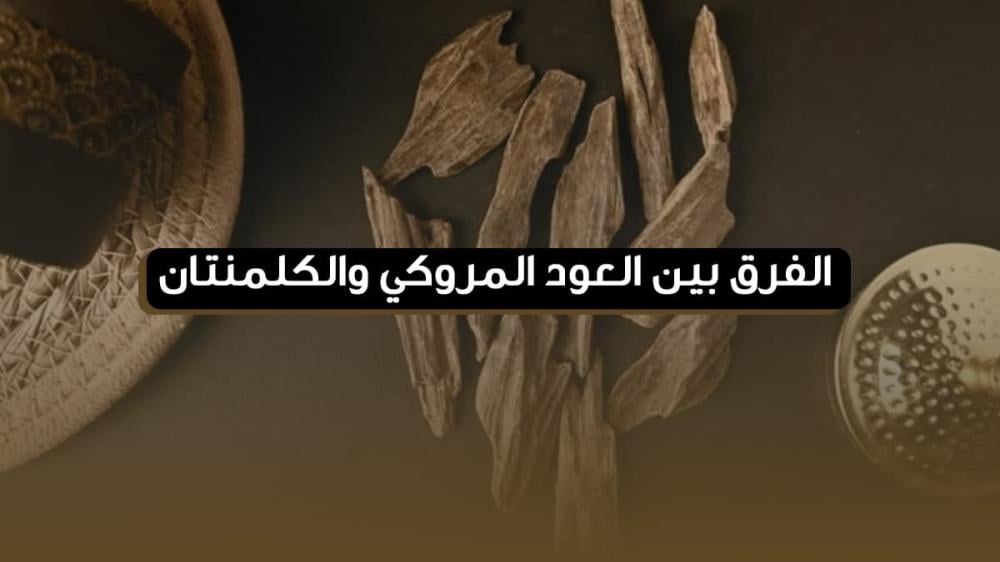 الفرق بين العود المروكي والكلمنتان: رائحة تفوق الخيال