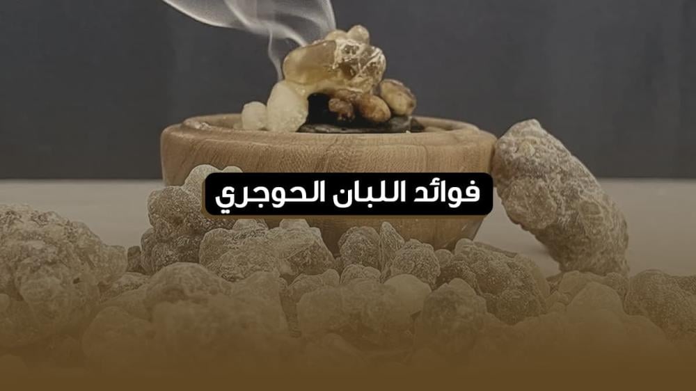 فوائد اللبان الحوجري
