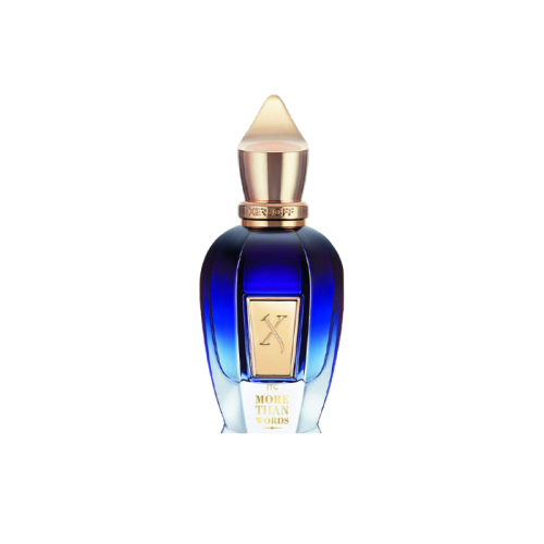 More Than Words by Xerjoff Join the Club Eau de Parfum 100ml