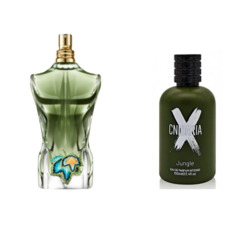 عطر صمام سنداريا اكس جنجلي او دي بارفيوم انتنس 100...