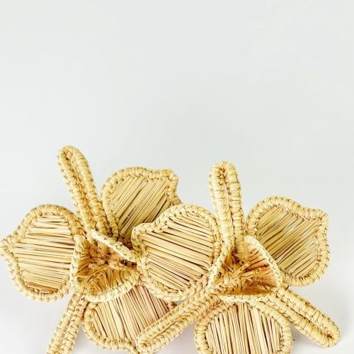 مسكة مناديل - أوركيد - بيج