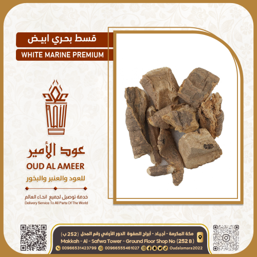 قسط بحري ابيض