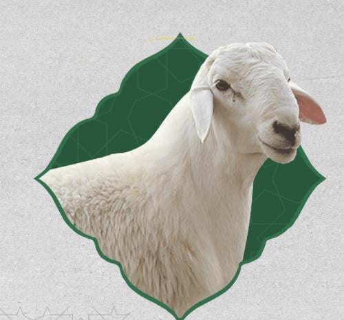 store avatar