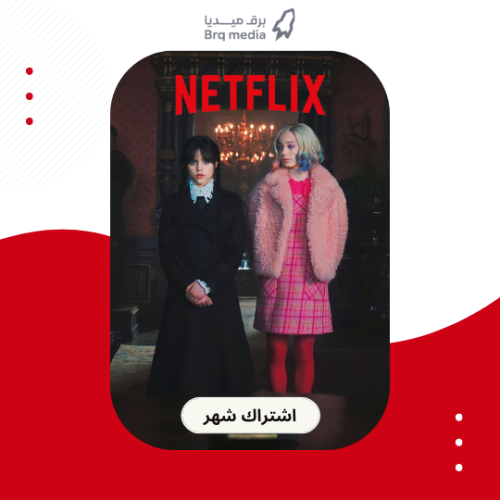 اشتراك نتفلكس 12 شهر ( شاشة خاصة بك ) | NETFLIX