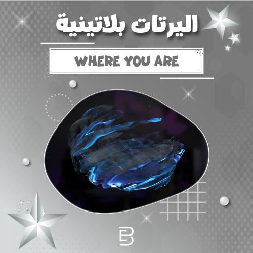 Where You Are