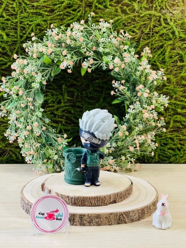 مقلمية بشخصية انمي