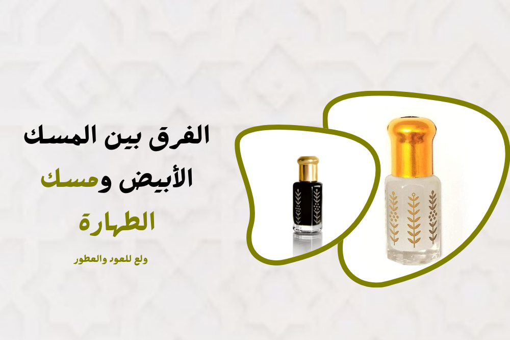 الفرق بين المسك الأبيض ومسك الطهارة : ولع للعود والعطور