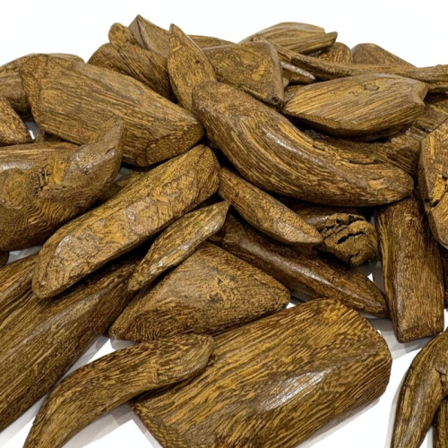عود مروكي تربل محسن