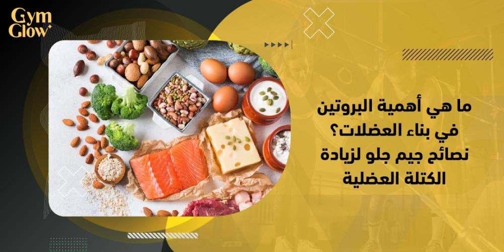 ما هي أهمية البروتين في بناء العضلات؟ نصائح جيم جلو لزيادة الكتلة العضلية