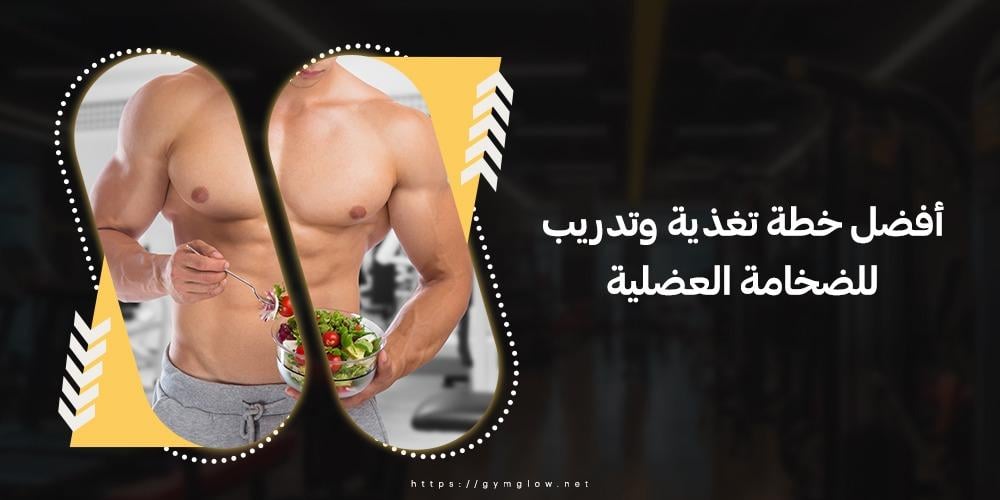 أفضل خطة تغذية وتدريب للضخامة العضلية