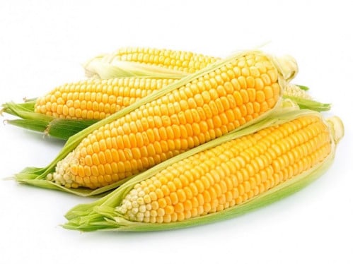 بذور ذرة اجنبي 15 جم