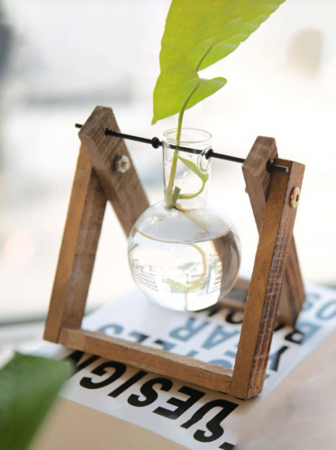 مزهرية خيالي شفاف حديث خشب الزراعة المائية الى منزل زخرفة