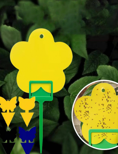 طبق حشرة فخ إبداع بتصميم زهرة الى حديقة 4قطعات/طقم