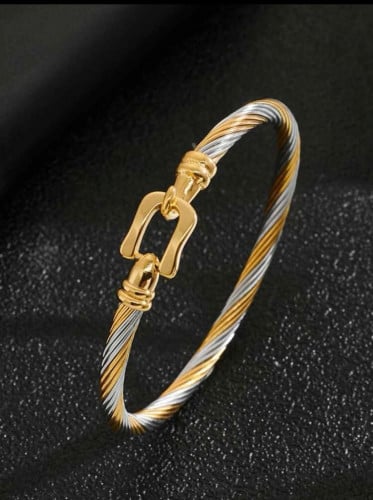 إسورة الموضة فولاذ غير قابل للصدأ لونين