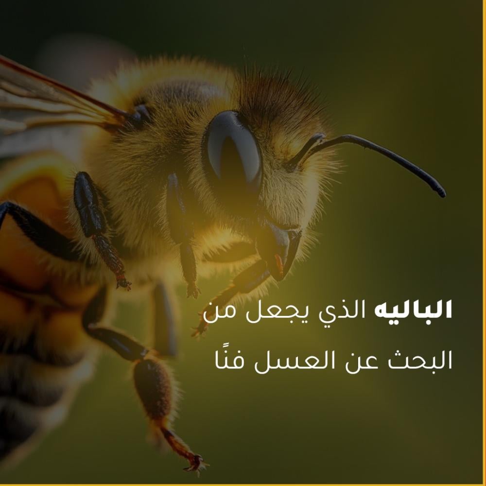 رقص النحل: الباليه الذي يجعل من البحث عن العسل فنًا!