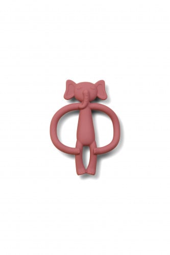 عضاضة الفيل |  Dusty Rose