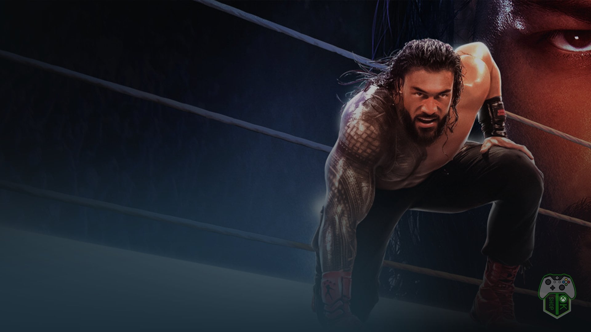 WWE 2K25