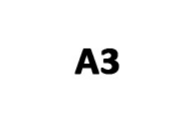 A3