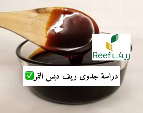 دراسة جدوى ريف (دبس التمر)