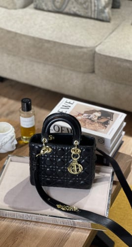 Dior حقيبة