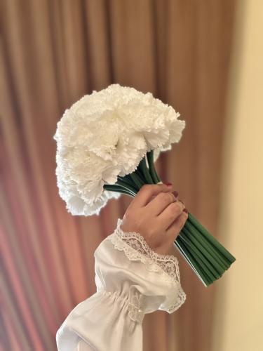 مسكة عروس - كرنيشن