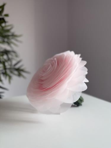 مسكة عروس - رقه