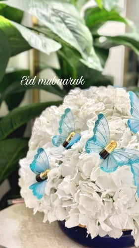 توزيعات الفراشه