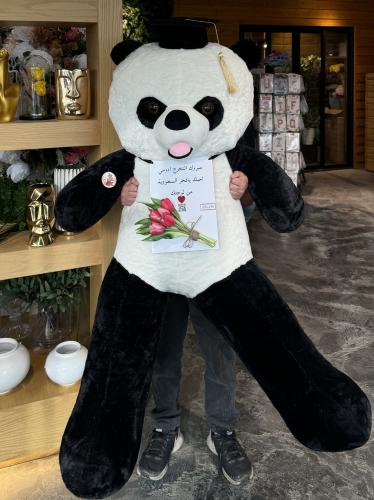 Graduation panda