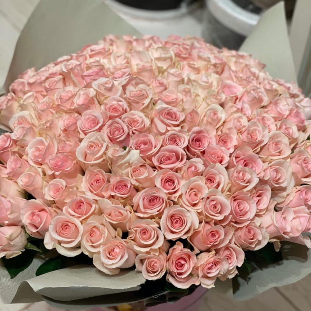 Roses 200pis