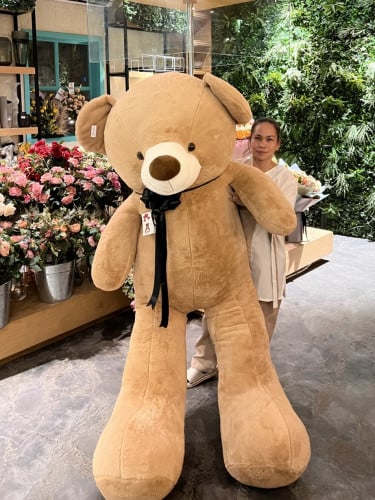 DarkBiege 220cm