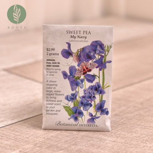 زهور sweet pea my navy