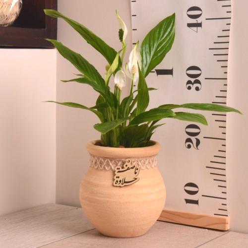 زنبقة السلام في جرة فخارية (قرقيعان)مع بتعليقة خشبية ناصفة حلاوة