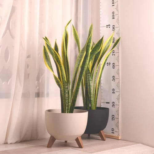 جلد النمر مع حوض بلاستيك بأرجل (باميلا)