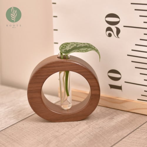 وعاء تجذير خشبي فاخر ( بني)