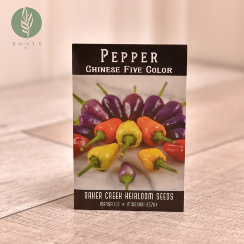 فلفل ملون حار papper chinese five color