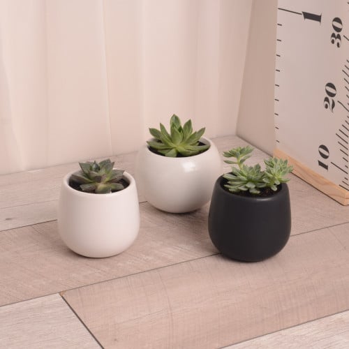 عصاريات صغيرة  (اشفيريا) مع حوض سيراميك